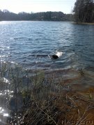 Превью фото № 180597