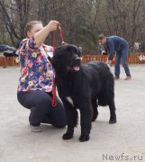 Превью фото № 180600