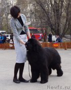 Превью фото № 180616