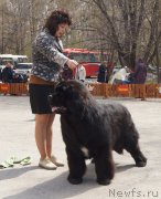 Превью фото № 180624