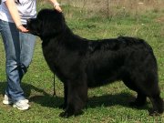 Превью фото № 180631