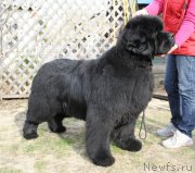 Превью фото № 180659