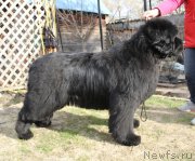 Превью фото № 180662