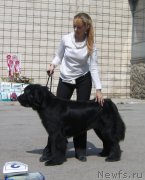 Превью фото № 180672