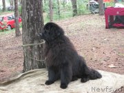 Превью фото № 180676