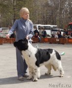 Превью фото № 180677