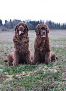 Превью фото № 180681