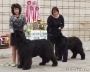 Превью фото № 180687