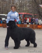 Превью фото № 180690