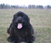 Превью фото № 180692