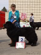 Превью фото № 180706