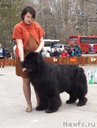 Превью фото № 180707