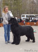 Превью фото № 180709