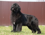 Превью фото № 180722