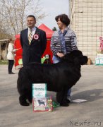 Превью фото № 180725