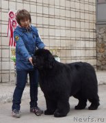 Превью фото № 180730