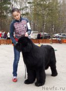 Превью фото № 180750