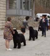 Превью фото № 180771