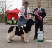 Превью фото № 180780