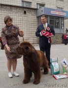 Превью фото № 180784