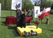 Превью фото № 180800