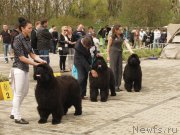 Превью фото № 180801