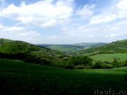 Превью фото № 180812