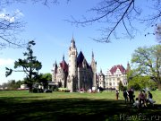 Превью фото № 180813