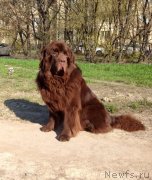 Превью фото № 180832