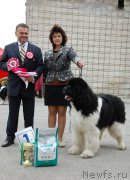 Превью фото № 180838