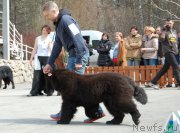 Превью фото № 180845