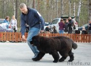 Превью фото № 180846