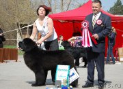 Превью фото № 180847