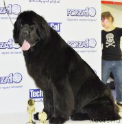 Превью фото № 180904