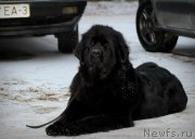 Превью фото № 180940