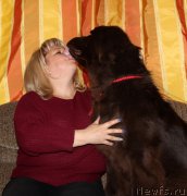 Превью фото № 180959