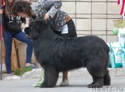 Превью фото № 180967