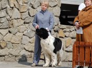 Превью фото № 181054