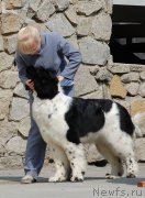 Превью фото № 181055