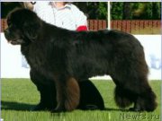 Превью фото № 181057