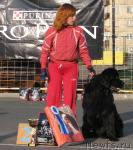 Превью фото № 18107