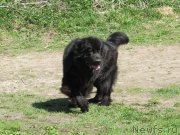 Превью фото № 181073