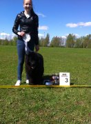 Превью фото № 181078