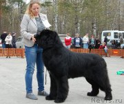 Превью фото № 181101