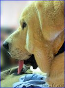 Превью фото № 181149