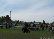 Превью фото № 181174