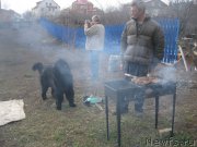 Превью фото № 181180