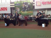 Превью фото № 181185