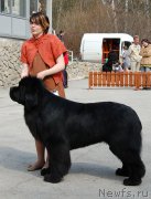 Превью фото № 181240