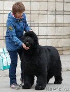 Превью фото № 181246